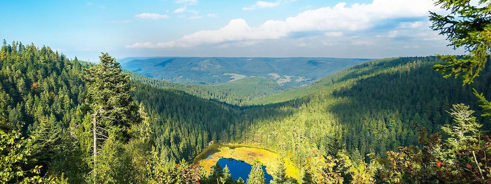 Ferienhäuser und Ferienwohnungen im Südschwarzwald - e-domizil