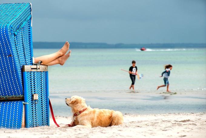 Urlaub mit Hund auf Seeland - 2.629 Ferienwohnungen und Ferienhäuser mit Haustier - tourist-online.de