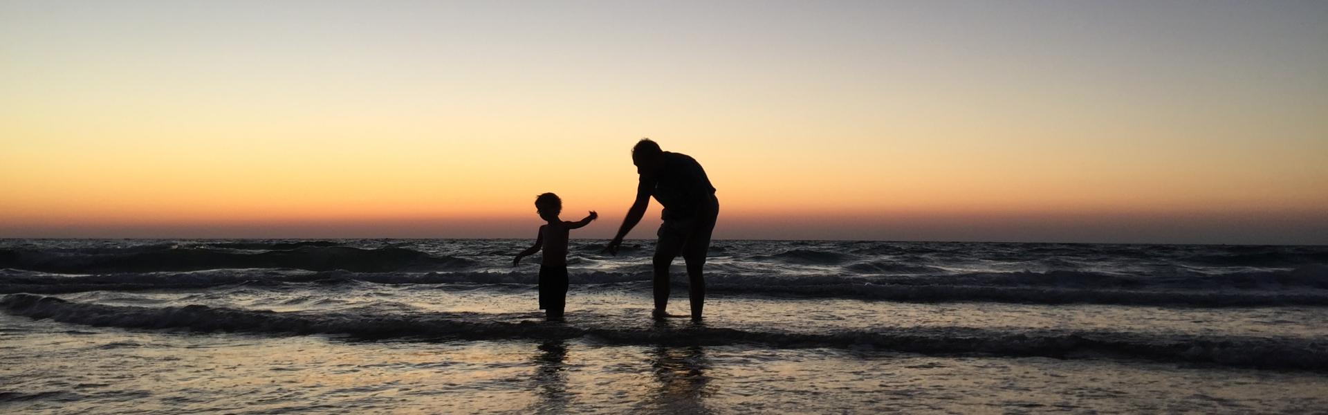 silhouette of man and kid on seashore
