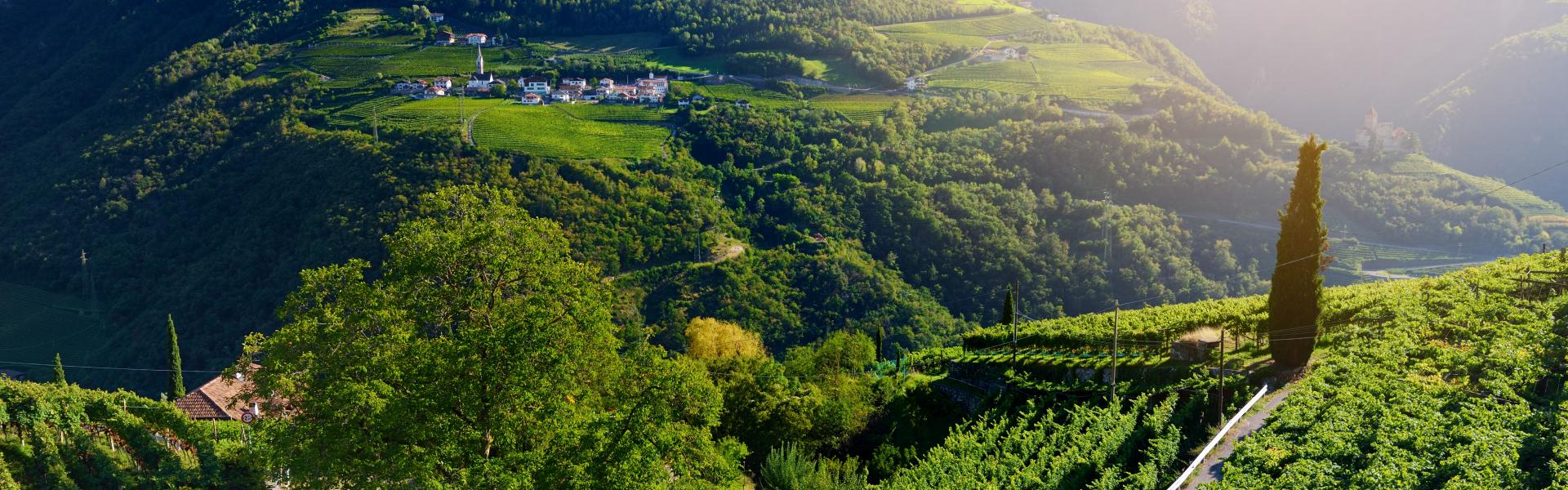 Trentino South Natural View