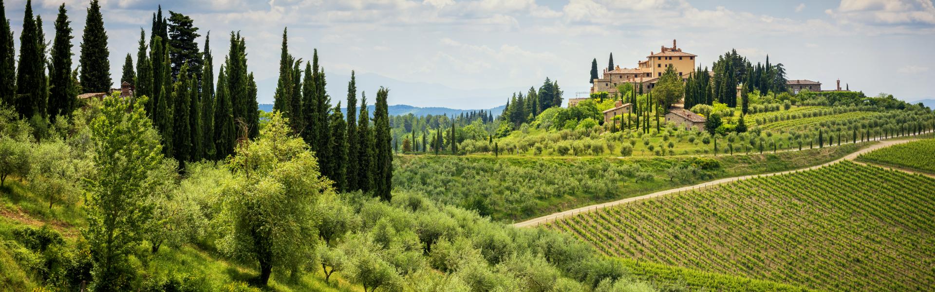 Florenz Natural View