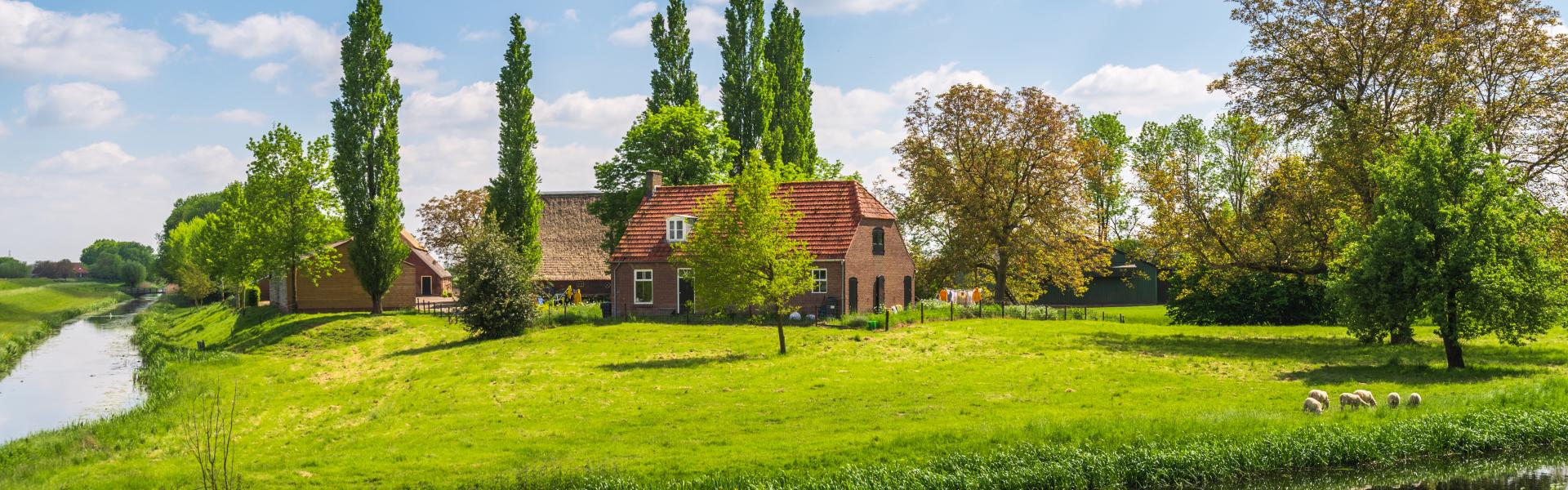 Natural View of a bungalow in netherlands