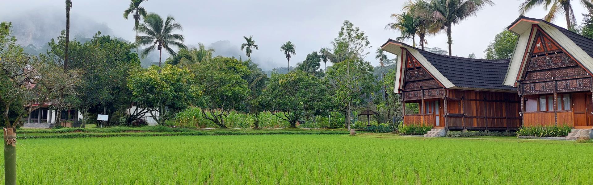 Bali Scenic View of a house