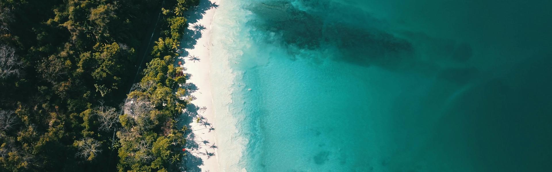 an aerial view of a beach and a forested area