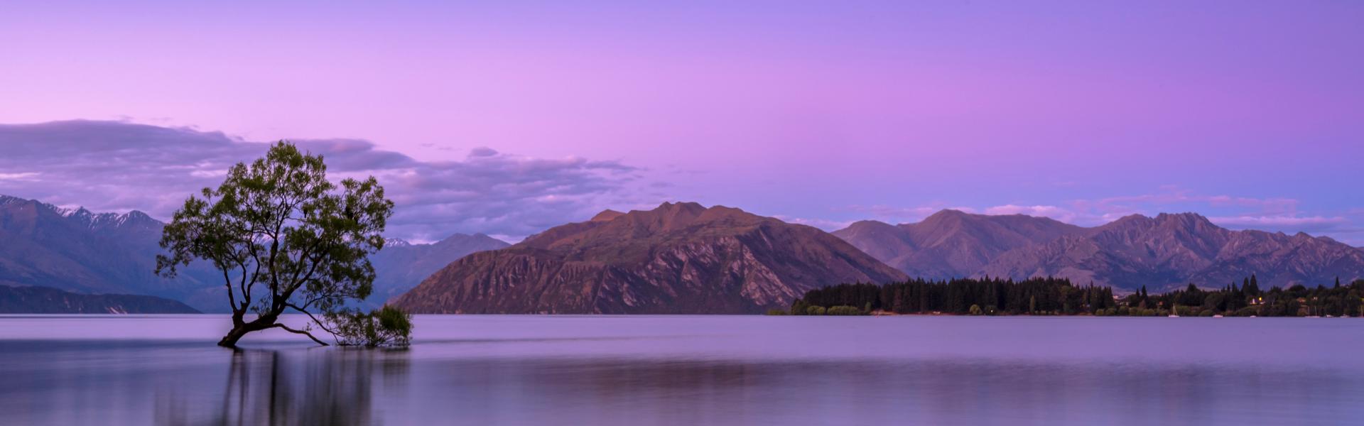 tree on body of water near mountains