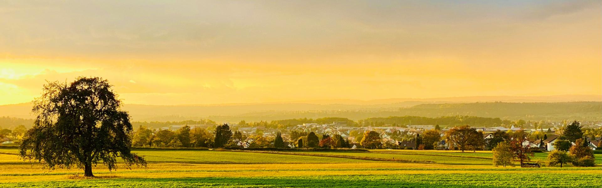 green grass field under cloudy sky during daytime