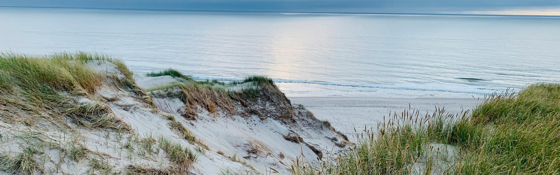 green grass near body of water during daytime