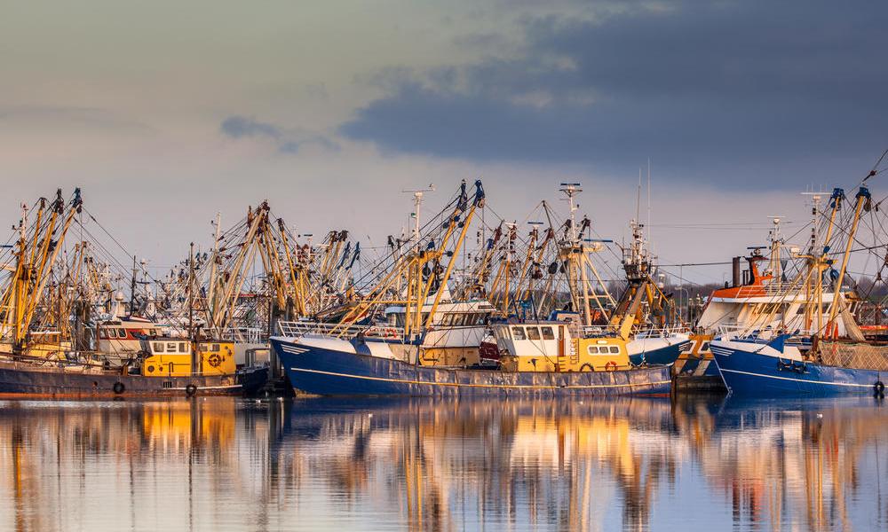 
        Lauwersoog: Alle Reiseziele, Tipps & Infos für Ihren Lauwersoog Urlaub!
       - Interhome