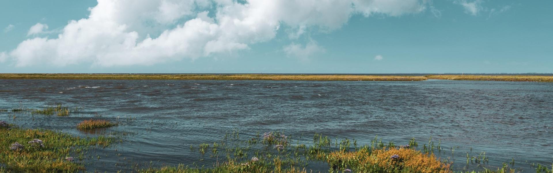 
        Fedderwardersiel: Alle Reiseziele, Tipps & Infos für Ihren Fedderwardersiel Urlaub!
       - Interhome