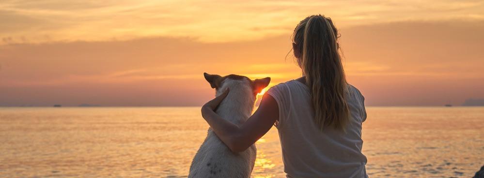 
                          Die schönsten Hundestrände in Europa
                       - Interhome