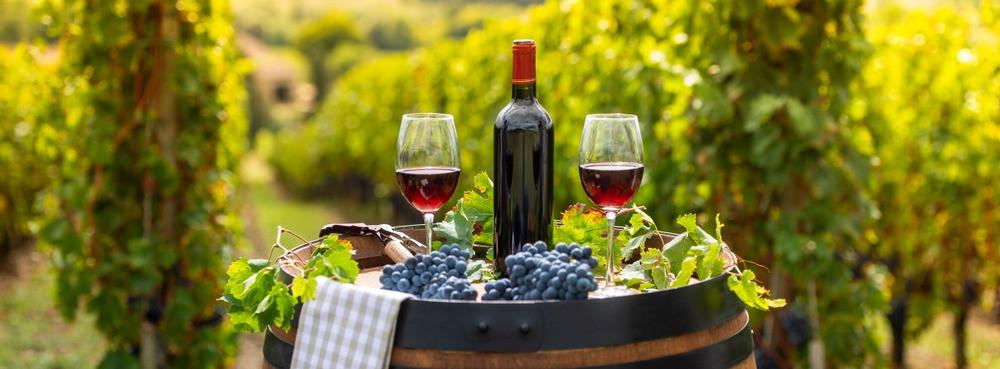 
                          Die besten Weinregionen in Frankreich
                       - Interhome