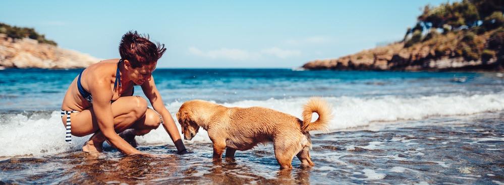 
                          Die 10 besten Hundestrände in Griechenland
                       - Interhome