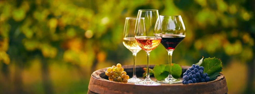 
                          Gute Weine: 10 beliebte Weine aus Europa
                       - Interhome