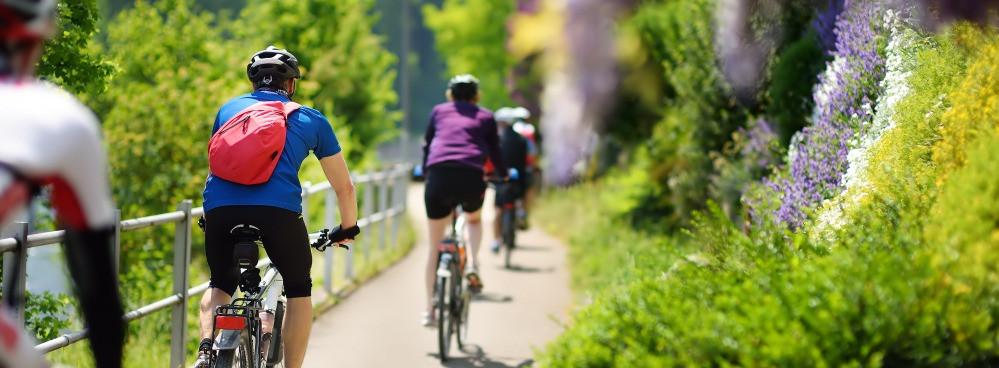 
                          Die schönsten Radwege in der Schweiz
                       - Interhome