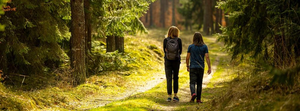 
                          Wandern durch die schönsten polnischen Wälder
                       - Interhome