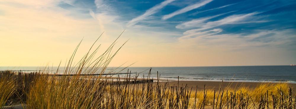 
                          De mooiste stranden van Nederland
                       - Interhome