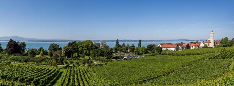 
                          Wandern am Bodensee - Weinberge, Obstbäume & Blumen
                       - Interhome