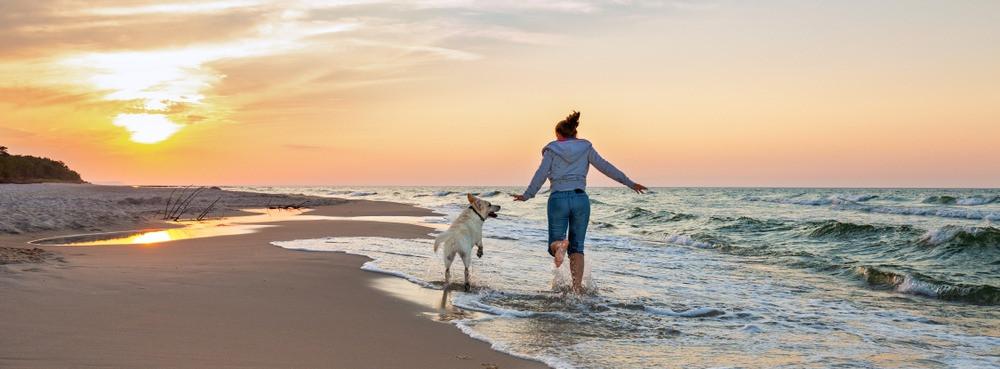 
                          De beste hondenstranden in Spanje
                       - Interhome