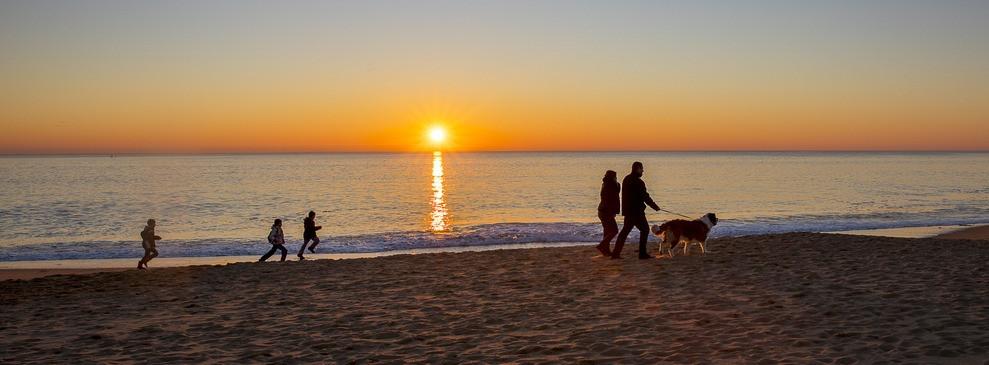 
                          Les plages autorisées aux chiens en Bretagne
                       - Interhome
