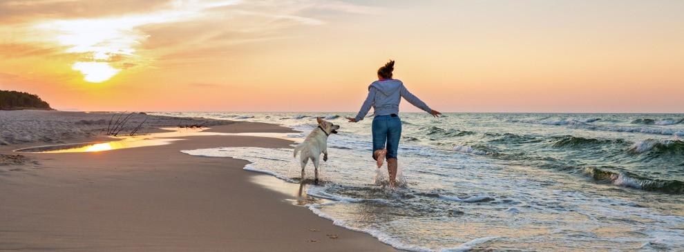 
                          Les meilleures plages pour chiens d’Espagne
                       - Interhome