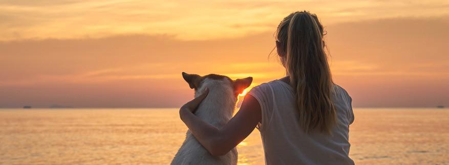 
                          Les plus belles plages autorisées aux chiens en Europe
                       - Interhome