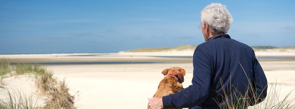 
                          Die 10 schönsten Hundestrände in den Niederlanden
                       - Interhome