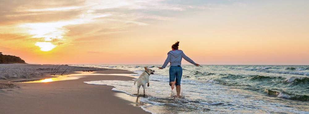 
                          Najlepsze plaże dla psów w Hiszpanii
                       - Interhome