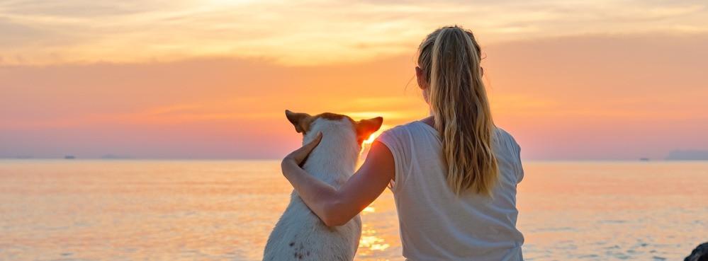 
                          Wskazówki na wakacje z psem w Portugalii
                       - Interhome