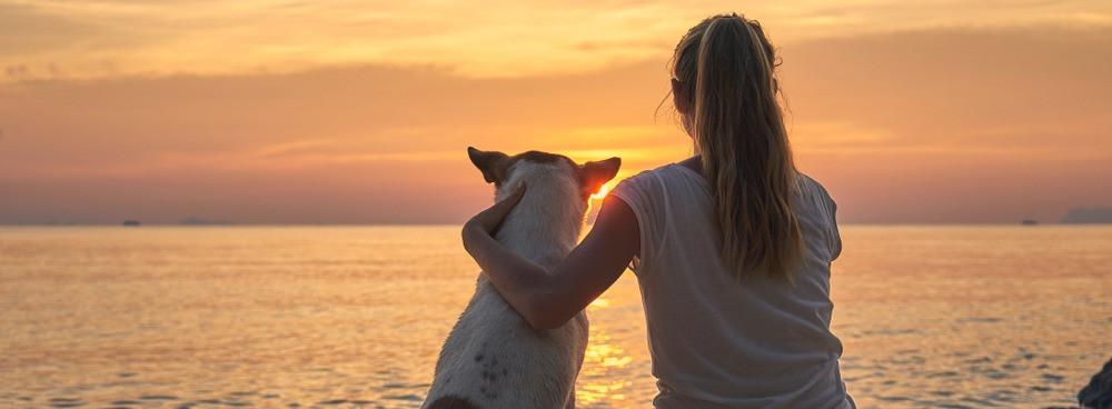 
                          Najlepsze plaże dla psów w Europie
                       - Interhome