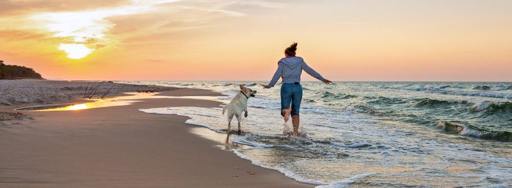 
                          Die besten Hundestrände in Spanien
                       - Interhome