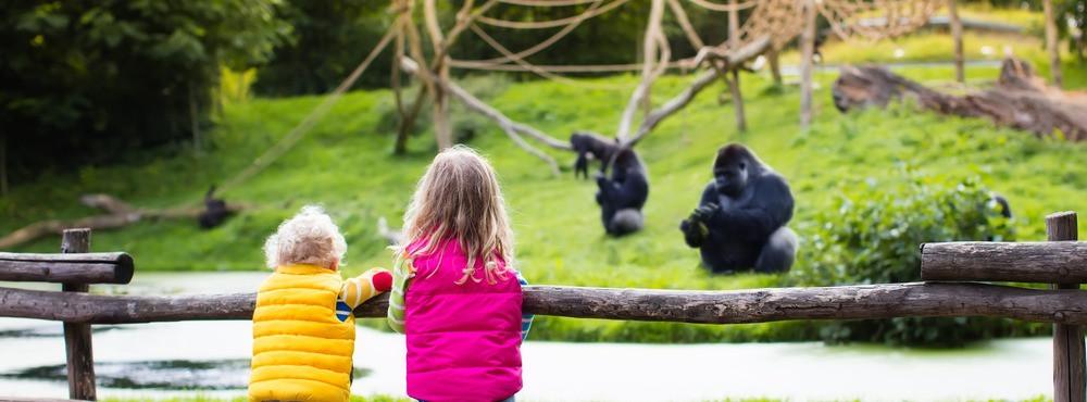 
                          Najlepsze ogrody zoologiczne w Niemczech
                       - Interhome