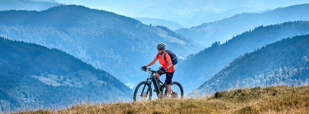 
                          Die besten Mountainbike-Touren im Schwarzwald
                       - Interhome