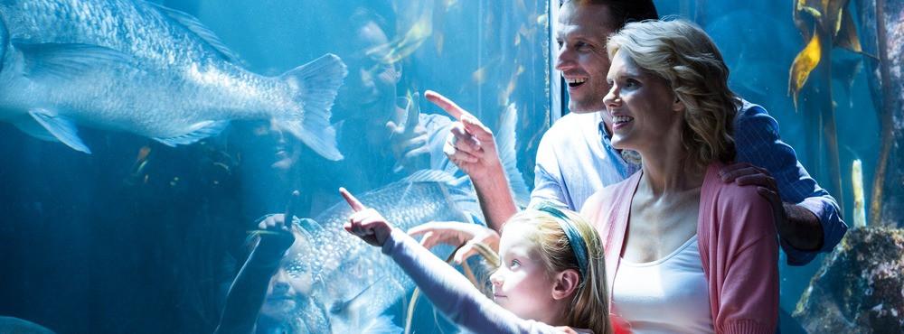 
                          Akwaria, oceanaria i fokaria w Polsce
                       - Interhome