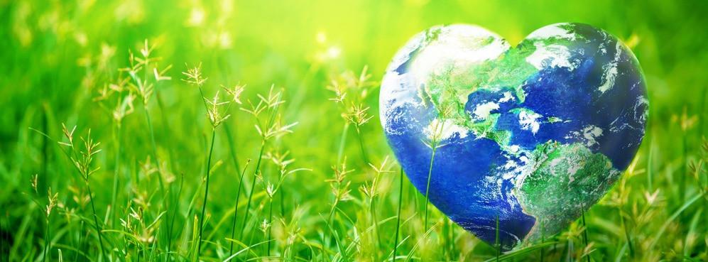 
                          Turystyka zrównoważona czyli podróże w zgodzie z naturą
                       - Interhome