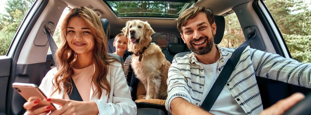 
                          Autoreizen met uw huisdier - Top 10 tips
                       - Interhome