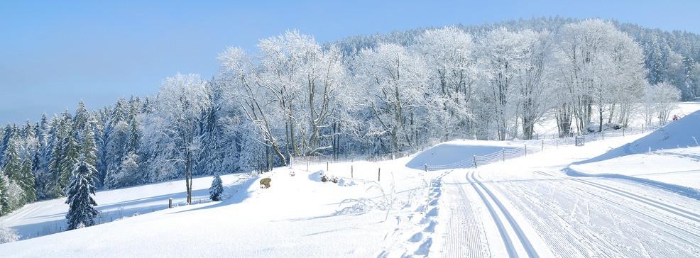 
                          Langlaufen in het Beierse Woud: de mooiste loipes
                       - Interhome