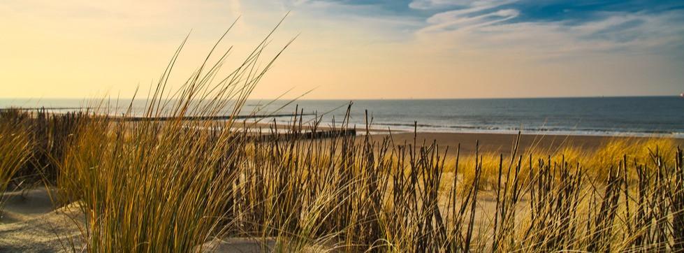 
                          Les plus belles plages des Pays-Bas
                       - Interhome