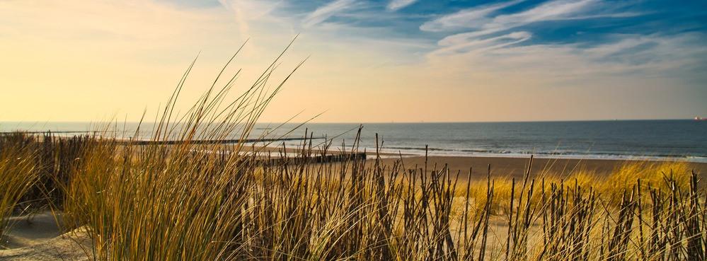 
                          Najpiękniejsze plaże w Holandii
                       - Interhome