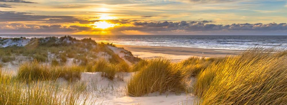 
                          Die schönsten Strände in Holland
                       - Interhome