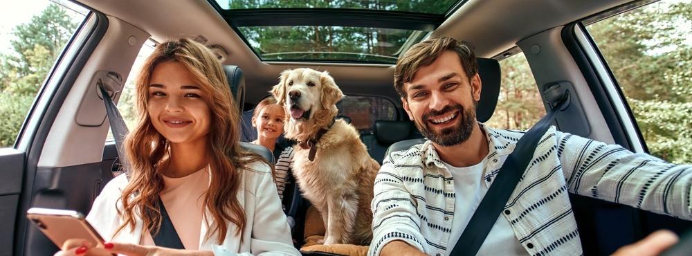 
                          Podróż autem z psem – Top 10 wskazówek
                       - Interhome