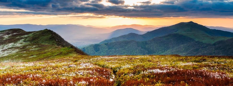 
                          Parki narodowe i rezerwaty przyrody w Polsce
                       - Interhome