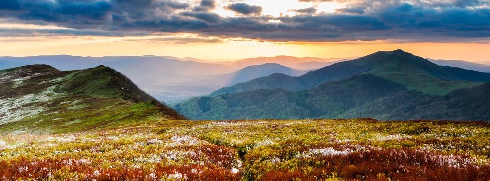 
                          Die interessantesten Nationalparks in Polen
                       - Interhome