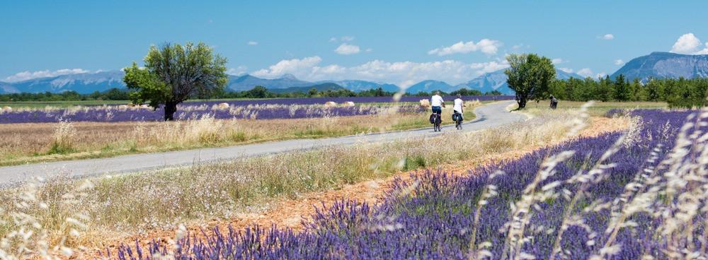 
                          Die 10 schönsten Radwege in der Provence
                       - Interhome