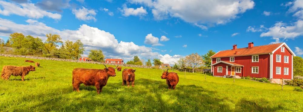 
                          Die schönsten Orte in Schweden
                       - Interhome