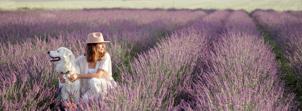 
                          Ciekawe miejsca na wakacje z psem we Francji
                       - Interhome