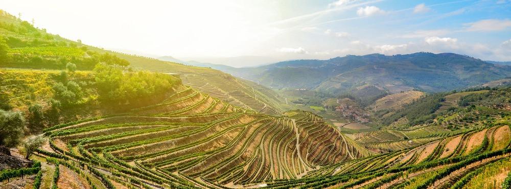 
                          Regiony winiarskie w Hiszpanii
                       - Interhome