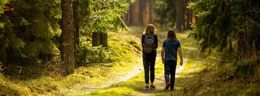 
                          Randonnée dans les plus belles forêts polonaises
                       - Interhome
