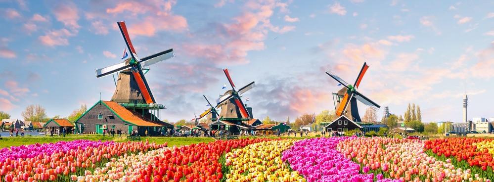 
                          Die Top-Sehenswürdigkeiten in Holland
                       - Interhome