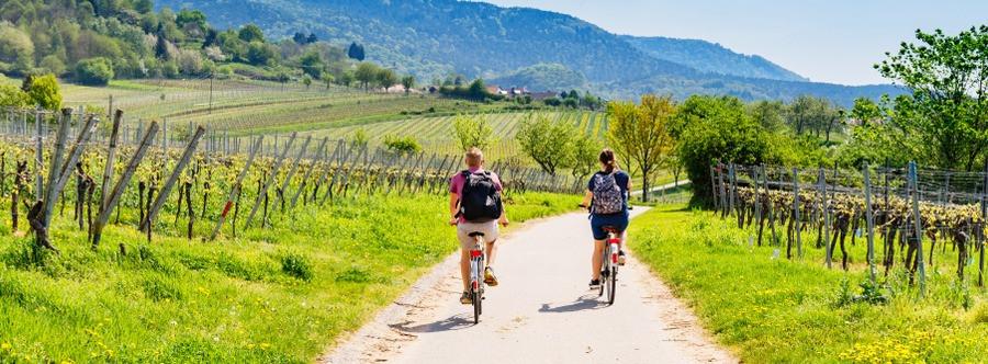 
                          Najpiękniejsze trasy rowerowe w Niemczech
                       - Interhome