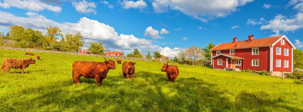 
                          Die schönsten Wanderungen in Småland
                       - Interhome